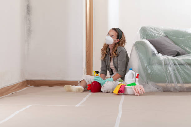 Reliable Bathroom Mold Removal contractor in Middletown, NY by Mold Remediation HQ
